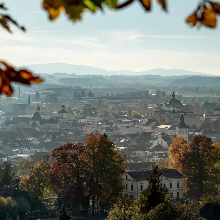 Stadtm_Wo_11